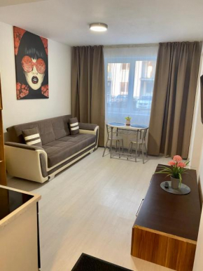 Apartament Irina Brasov
